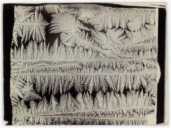 BENTLEY, WILSON A. (1865-1931) Group of 5 photographs of frost studies.